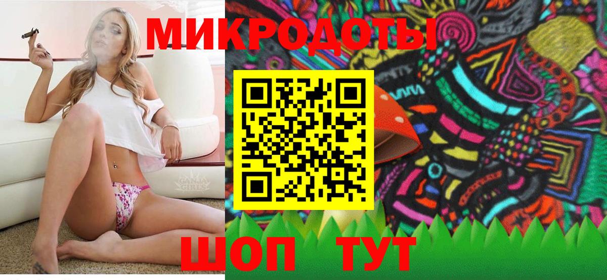 Псилоцибиновые грибы Psilocybe Черняховск