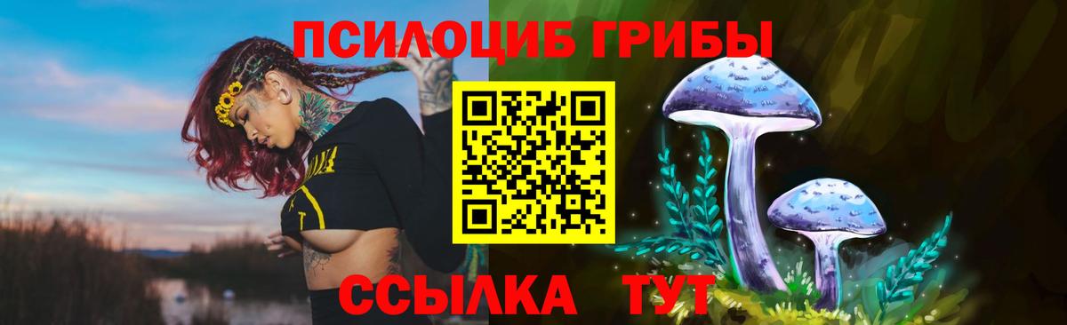 купить  сайты  Галлюциногенные грибы GOLDEN TEACHER  Вход с VPN  Псилоцибиновые грибы ЛСД  Черняховск 