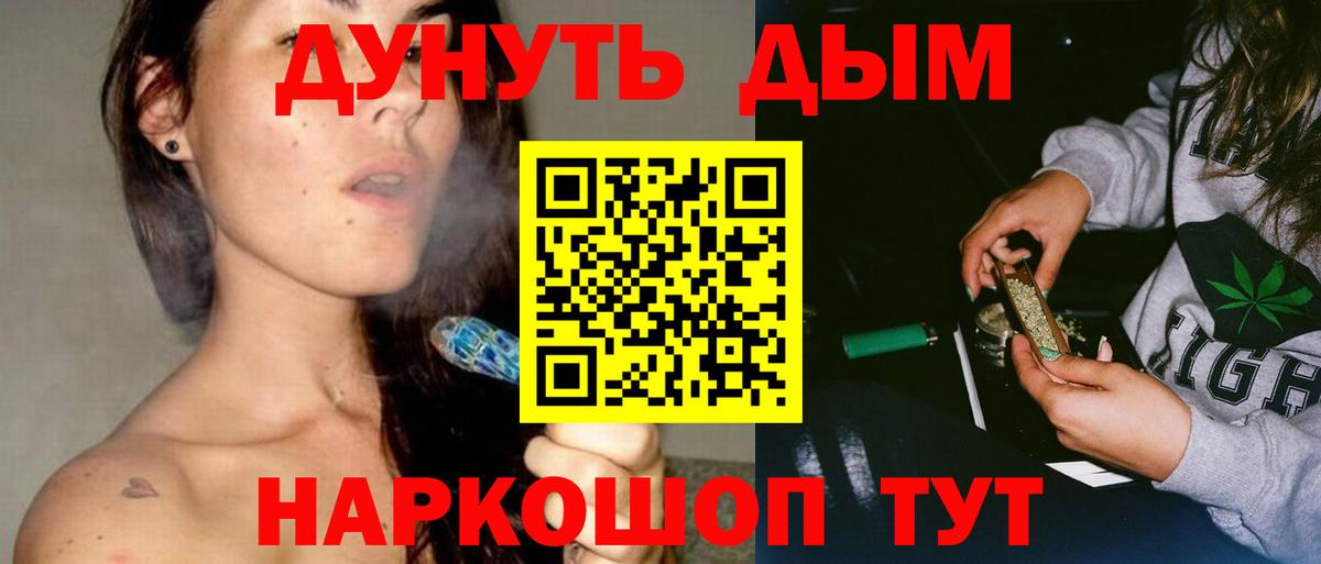 Конопля сатива Черняховск